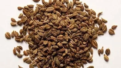 خواص زنیان برای پوست: راهنمای جامع و علمی