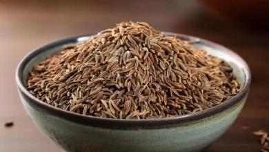خواص زنیان برای باروری: بررسی علمی و باورهای رایج