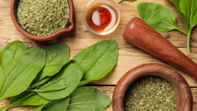 بارهنگ برای نوزادان: چرا احتیاط حرف اول را می‌زند؟ فواید احتمالی، خطرات جدی و راهکارهای علمی