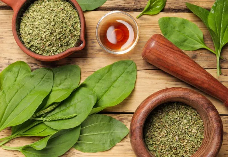 بارهنگ برای نوزادان: چرا احتیاط حرف اول را می‌زند؟ فواید احتمالی، خطرات جدی و راهکارهای علمی