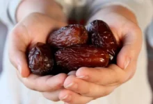 خواص هسته خرما برای سلامت قلب: آیا این گنج پنهان واقعاً مؤثر است؟