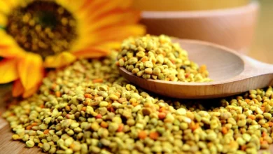 خواص گرده گل در بدنسازی: راهنمای جامع و علمی برای مصرف مکمل طبیعی