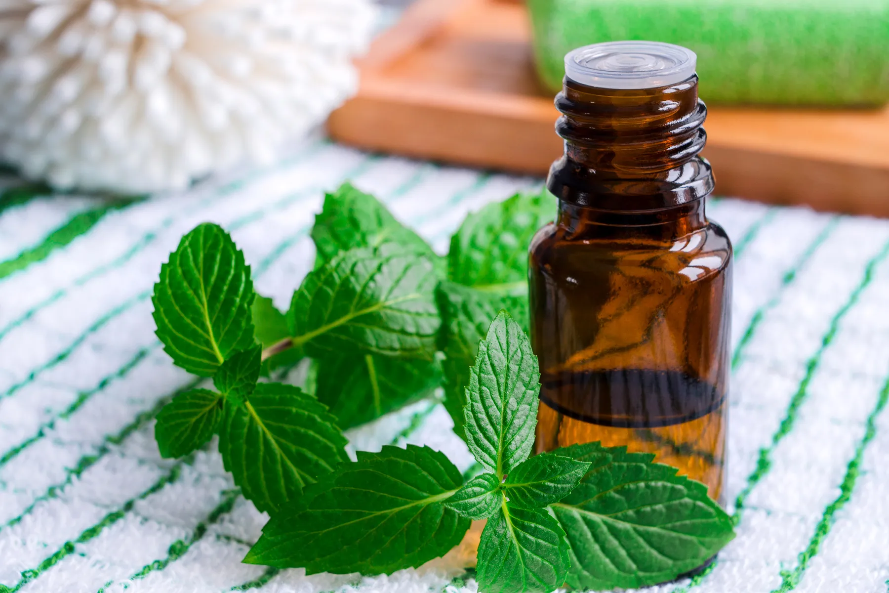 خواص روغن نعناع برای لاغری: بررسی علمی مکانیسم و فواید جانبی خواص روغن نعناع برای لاغری: بررسی علمی مکانیسم و فواید جانبی