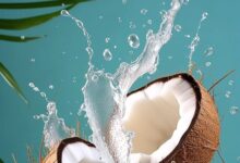 خواص نارگیل برای سرماخوردگی؛ آیا نارگیل به بهبود علائم کمک می‌کند؟