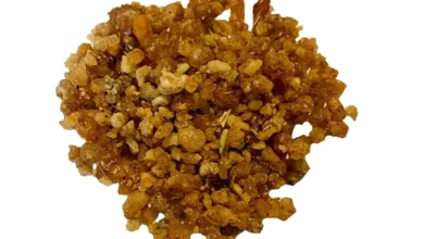 خواص ترنجبین: بررسی جامع فواید، عوارض و نکات مصرف (مبتنی بر شواهد علمی)