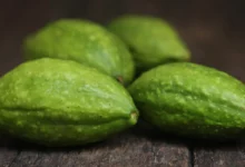 خواص هلیله سیاه برای رحم: بررسی علمی و نکات ایمنی