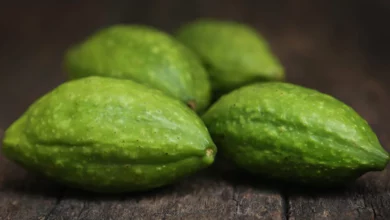 خواص هلیله سیاه برای رحم: بررسی علمی و نکات ایمنی