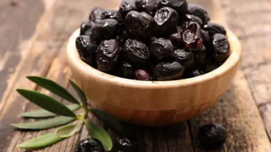 خواص زیتون شور برای سلامت دستگاه گوارش: تحلیل علمی فواید، عوارض و نحوه مصرف ایمن