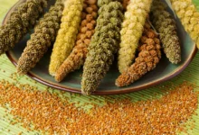 خواص ارزن برای رحم و سلامت زنان: بررسی جامع فواید، خطرات و نکات مصرف