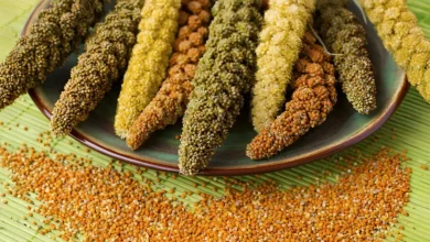خواص ارزن برای رحم و سلامت زنان: بررسی جامع فواید، خطرات و نکات مصرف