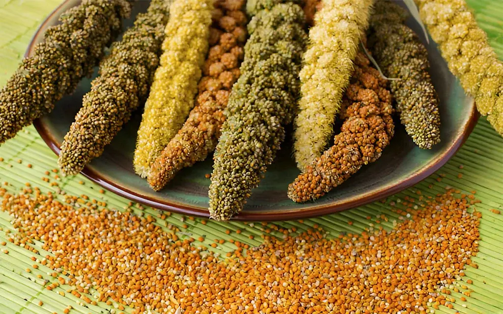 خواص ارزن برای رحم و سلامت زنان: بررسی جامع فواید، خطرات و نکات مصرف