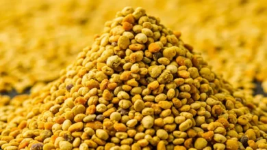 خواص گرده گل برای مردان: حقیقت، شواهد علمی و نحوه مصرف صحیح