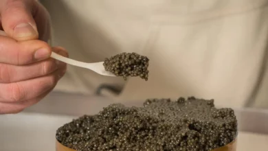 خواص خاویار برای مردان: بررسی علمی فواید، خطرات و نکات مصرف