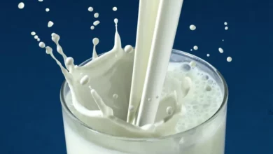 خواص شیر الاغ برای ریه: بررسی جامع فواید، خطرات و شواهد علمی