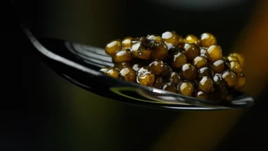 خواص شگفت‌انگیز خاویار برای تقویت مغز و اعصاب: گنجینه مغذی دریا