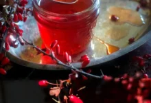 خواص آب زرشک برای کم‌خونی و افزایش جذب آهن: یک نگاه علمی