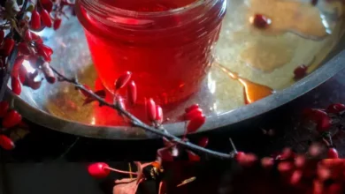 خواص آب زرشک برای کم‌خونی و افزایش جذب آهن: یک نگاه علمی