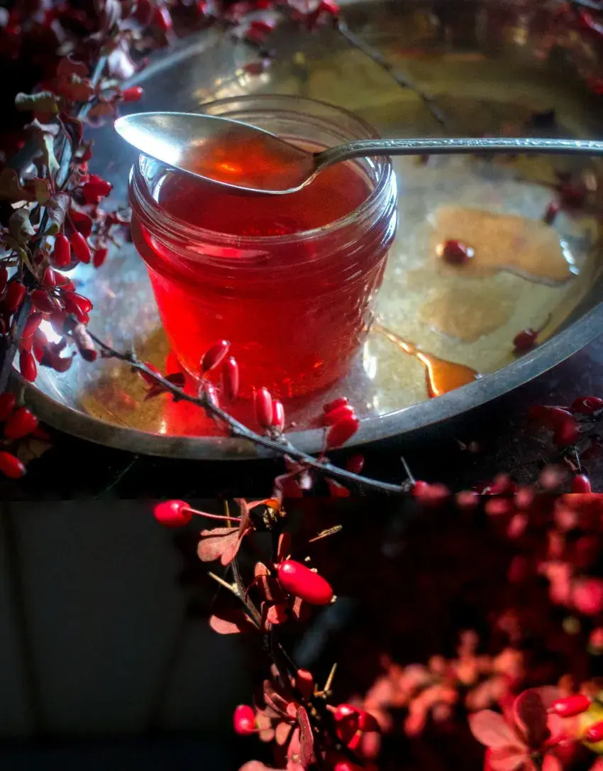 خواص آب زرشک برای کمخونی و افزایش جذب آهن: یک نگاه علمی خواص آب زرشک برای کمخونی و افزایش جذب آهن: یک نگاه علمی