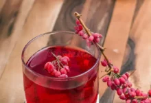 خواص شگفت‌انگیز آب زرشک برای پوست: بررسی علمی و نکات کاربردی