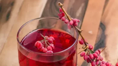 خواص شگفت‌انگیز آب زرشک برای پوست: بررسی علمی و نکات کاربردی