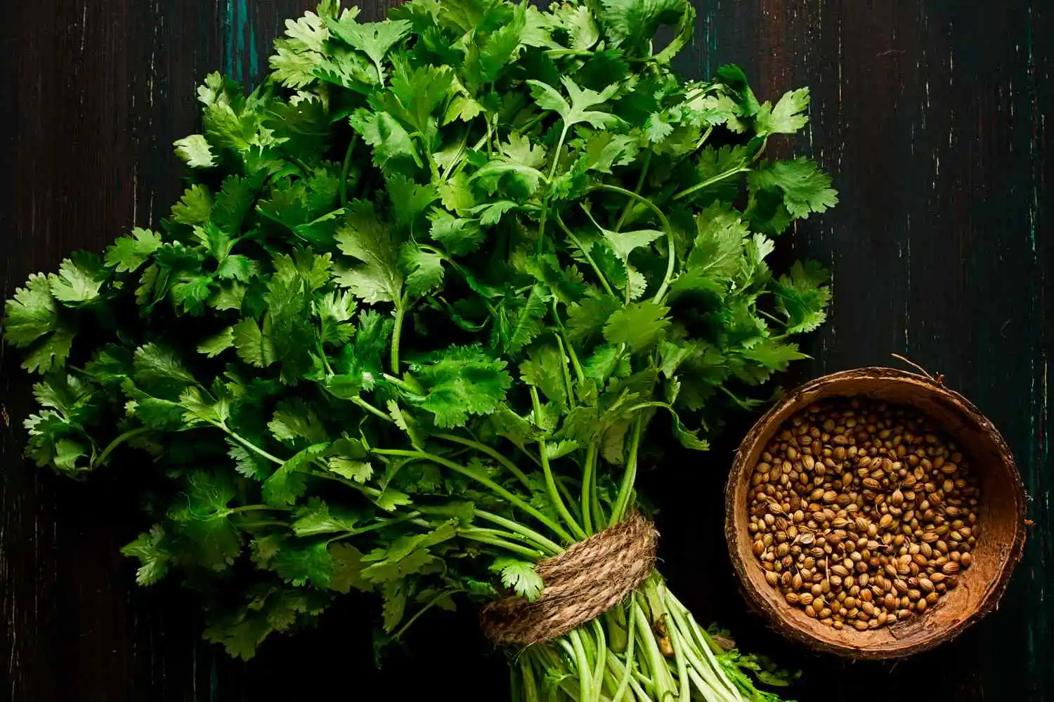 خواص گشنیز برای سرماخوردگی و تقویت سیستم ایمنی