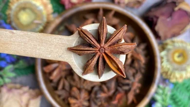 خواص بادیان ستاره‌ای برای زنان: از تعادل هورمون‌ها تا تسکین قاعدگی