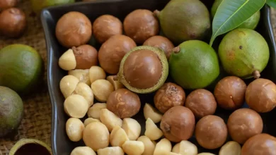 خواص ماکادمیا برای کودکان: راهنمای کامل و علمی