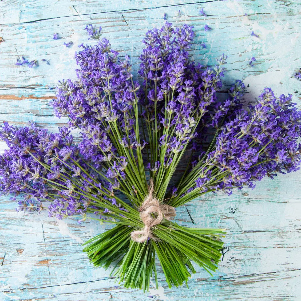 اسطوخودوس و باروری: بررسی شواهد علمی، فواید احتمالی و نکات ایمنی اسطوخودوس و باروری: بررسی شواهد علمی، فواید احتمالی و نکات ایمنی