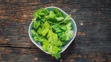 خواص گشنیز برای یبوست: بررسی علمی، فواید و نکات مهم مصرف