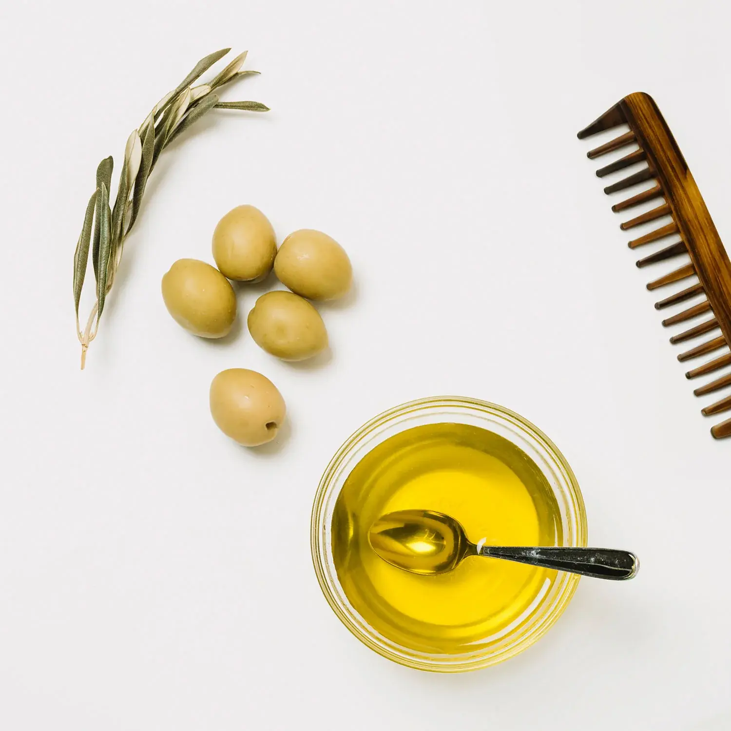 روغن زیتون برای مو: راهنمای جامع خواص، نحوه استفاده و نکات ایمنی