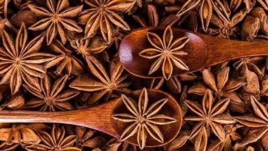 خواص بادیان ستاره‌ای برای سلامت معده و دستگاه گوارش: راهنمای کامل و علمی