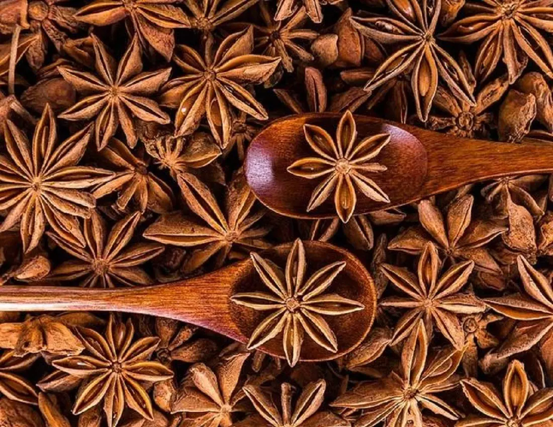 خواص بادیان ستاره‌ای برای سلامت معده و دستگاه گوارش: راهنمای کامل و علمی
