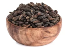 خواص هلیله سیاه: بررسی علمی فواید، عوارض و تأثیر بر کاهش وزن و سلامت گوارش