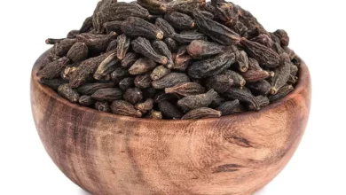 خواص هلیله سیاه: بررسی علمی فواید، عوارض و تأثیر بر کاهش وزن و سلامت گوارش