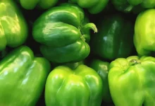 خواص فلفل سبز دلمه ای برای قلب: راهنمای جامع و علمی