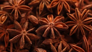 خواص بادیان ستاره‌ای برای مردان: بررسی فواید، خطرات و موارد احتیاط