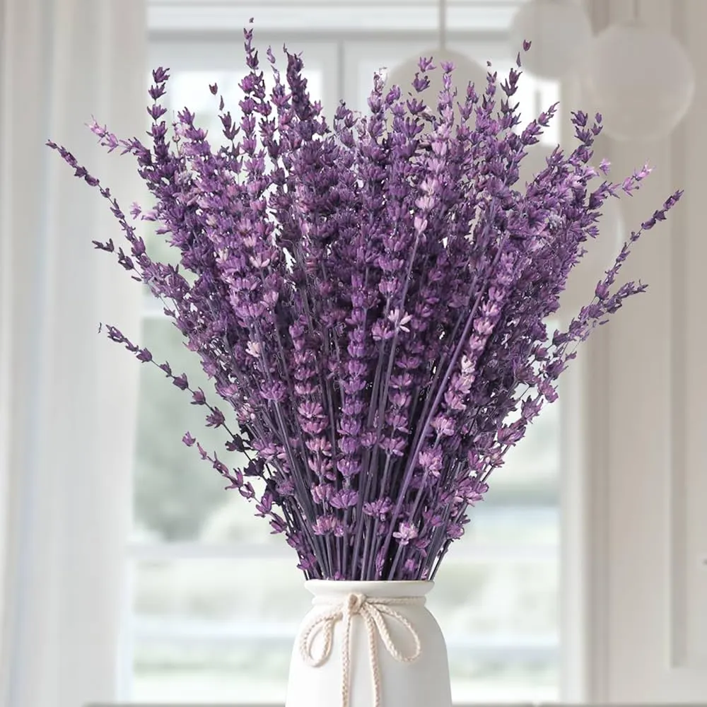 خواص اسطوخودوس برای عفونت: بررسی شواهد علمی، نحوه مصرف و موارد احتیاط