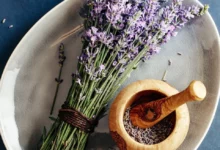 خواص اسطوخودوس برای سلامت ریه و دستگاه تنفسی: یک بررسی علمی