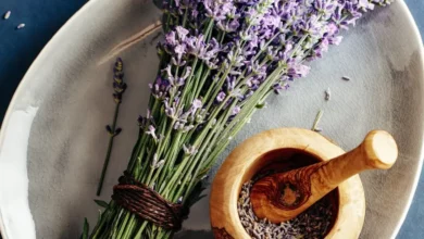 خواص اسطوخودوس برای سلامت ریه و دستگاه تنفسی: یک بررسی علمی