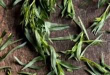 خواص ترخون برای بوی بد دهان: بررسی علمی خواص، نحوه مصرف و نکات احتیاطی