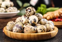 آیا تخم بلدرچین به تقویت اسپرم و افزایش باروری مردان کمک می‌کند؟ بررسی خواص علمی و نکات مصرف