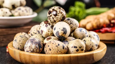 آیا تخم بلدرچین به تقویت اسپرم و افزایش باروری مردان کمک می‌کند؟ بررسی خواص علمی و نکات مصرف