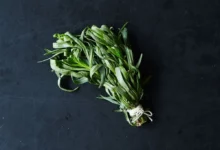 خواص ترخون برای چربی خون: نگاهی جامع به شواهد علمی و نحوه مصرف