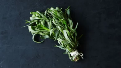 خواص ترخون برای چربی خون: نگاهی جامع به شواهد علمی و نحوه مصرف