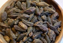 هلیله سیاه برای مردان: بررسی جامع فواید، عوارض و نحوه مصرف بر اساس شواهد علمی