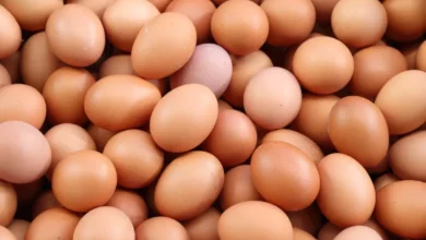 خواص کامل تخم مرغ برای پوست صورت: راهنمای جامع و علمی