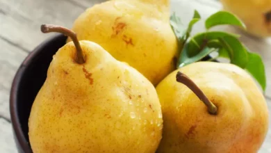 خواص گلابی در بارداری: راهنمای جامع برای سلامت مادر و جنین