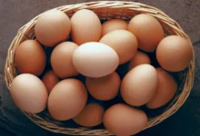 خواص تخم مرغ برای مردان: راهنمای جامع علمی برای سلامت هورمونی، باروری و عضله‌سازی