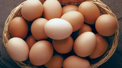خواص تخم مرغ برای مردان: راهنمای جامع علمی برای سلامت هورمونی، باروری و عضله‌سازی