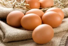 خواص تخم مرغ برای معده و دستگاه گوارش: آیا این غذای محبوب برای سیستم گوارش شما مفید است؟